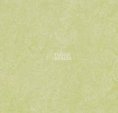 Линолеум Forbo Marmoleum Marbled Real 3881 Green Wellness фото 1 | FLOORDEALER